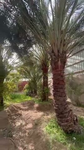  الفيديوهات