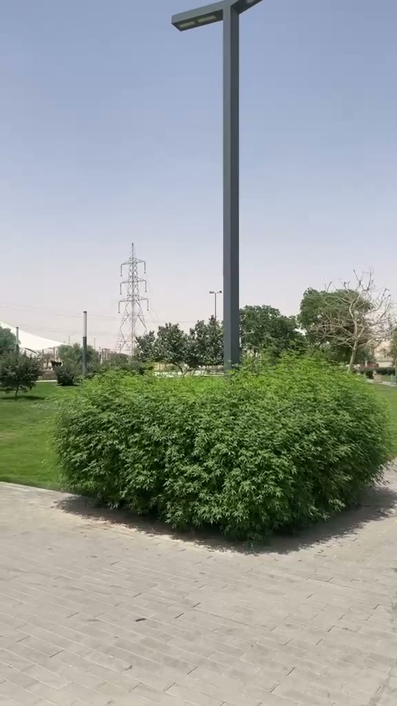  الفيديوهات