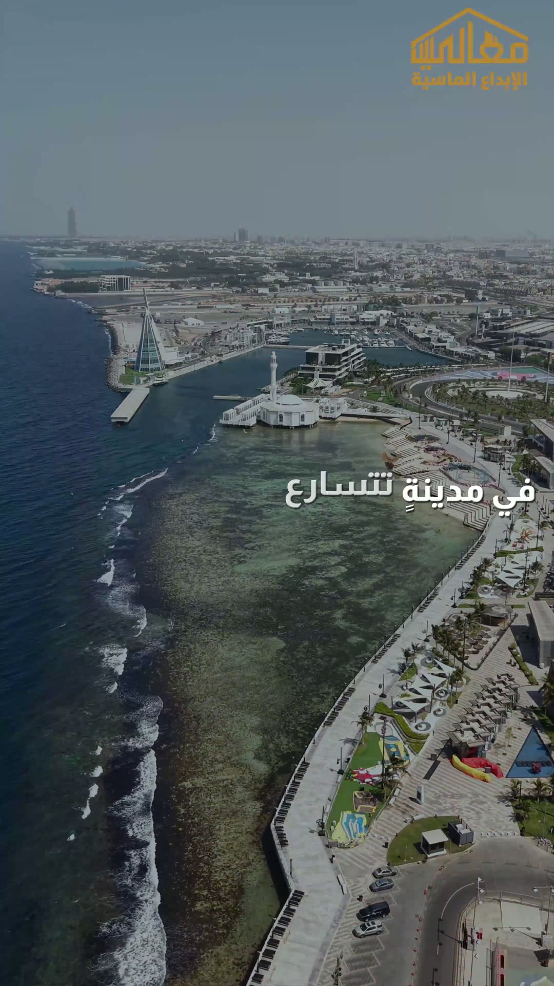  الفيديوهات