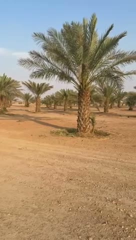 Videos
