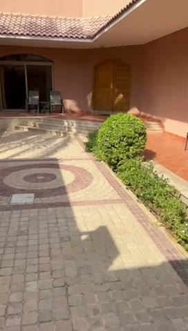 Videos