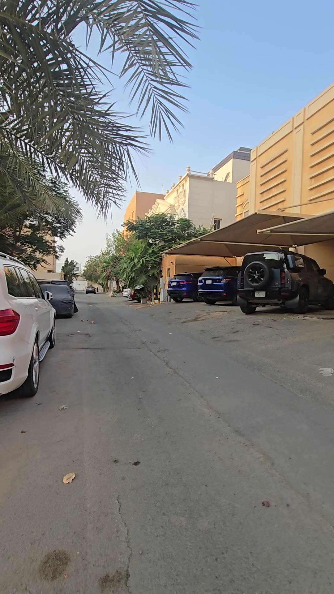  الفيديوهات