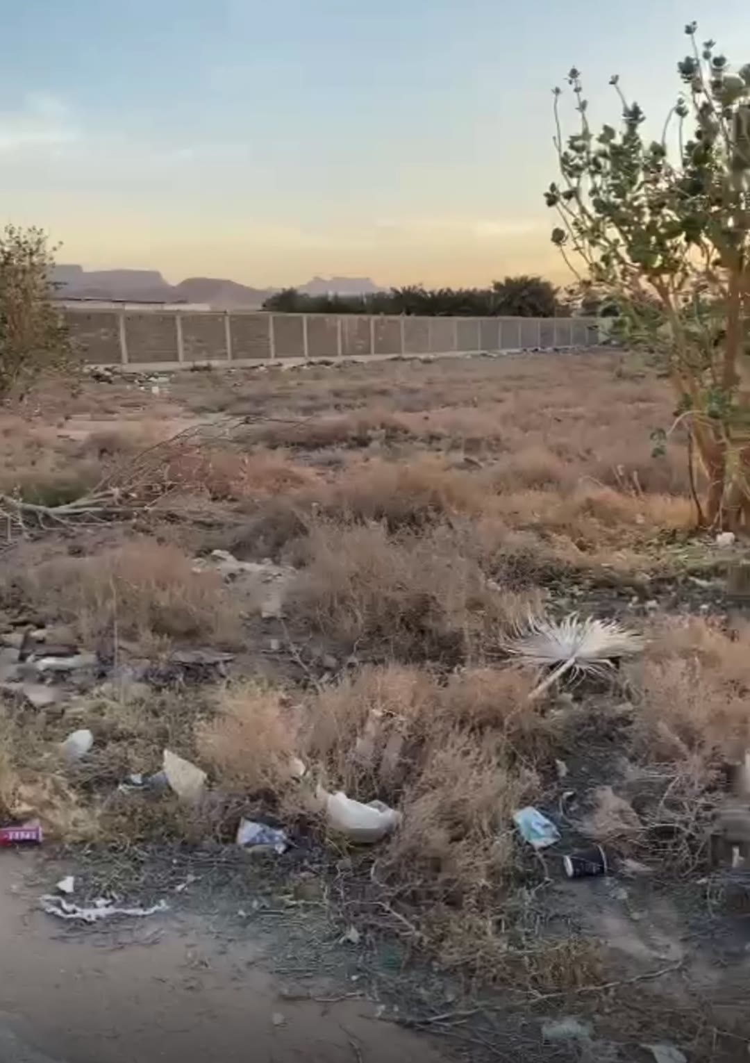 الفيديوهات