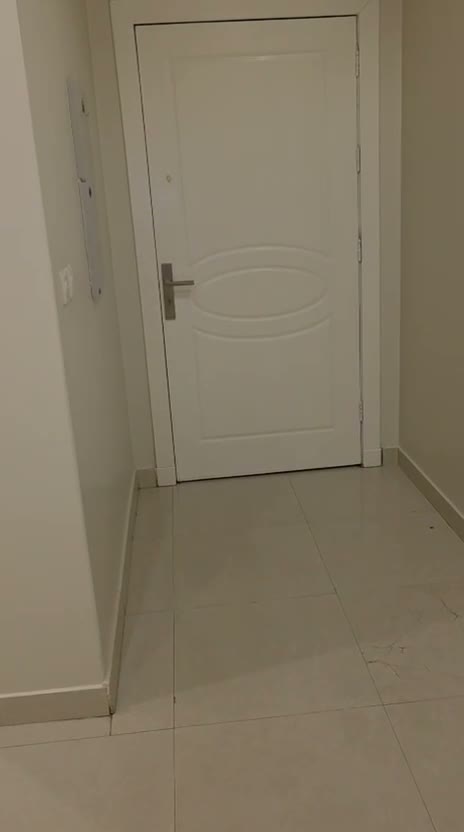Videos