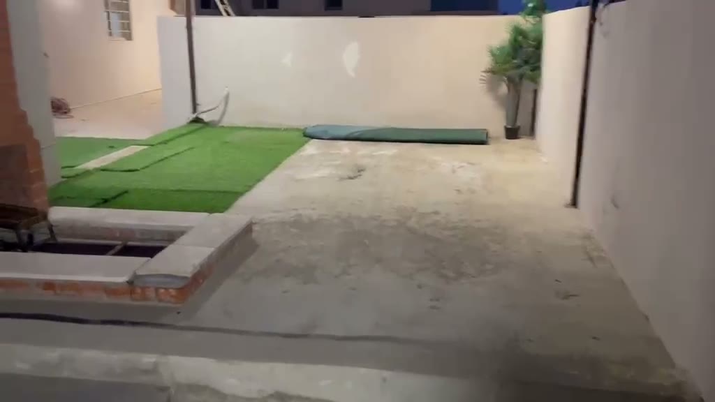 Videos