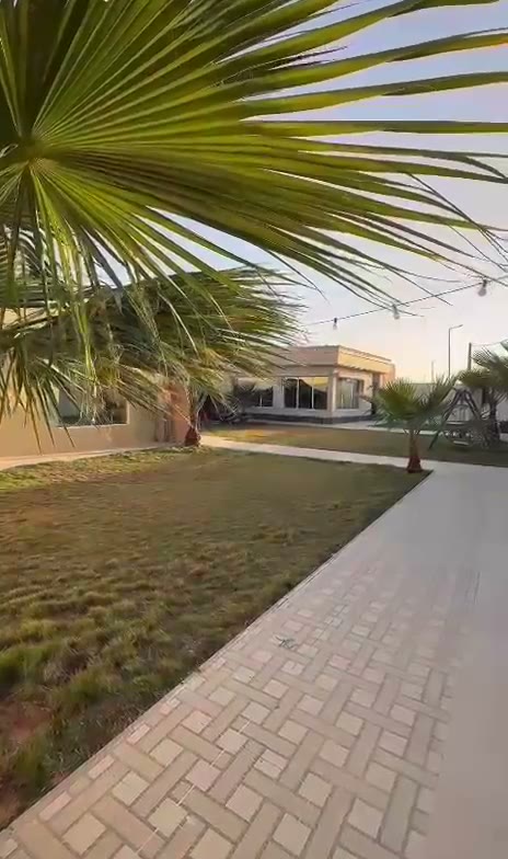  الفيديوهات