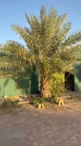  الفيديوهات
