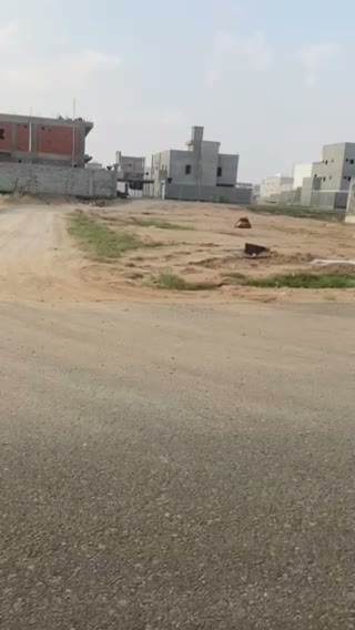 Videos