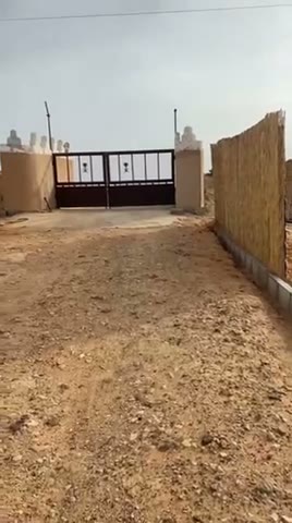 Videos