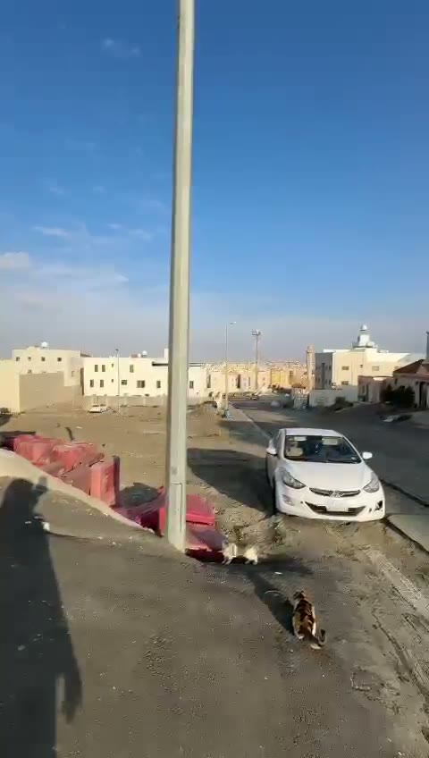  الفيديوهات