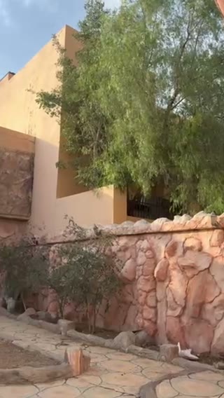Videos