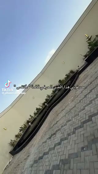  الفيديوهات