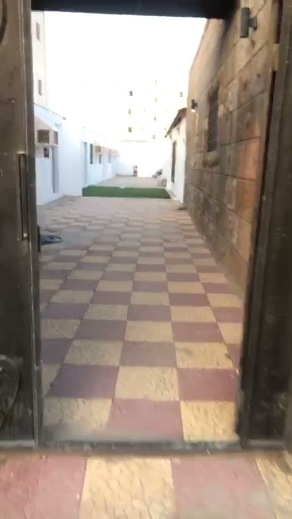  الفيديوهات