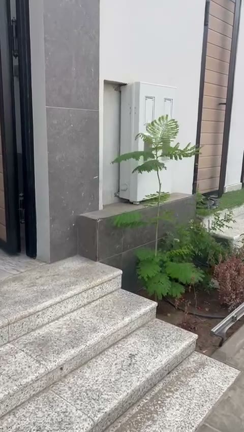 Videos