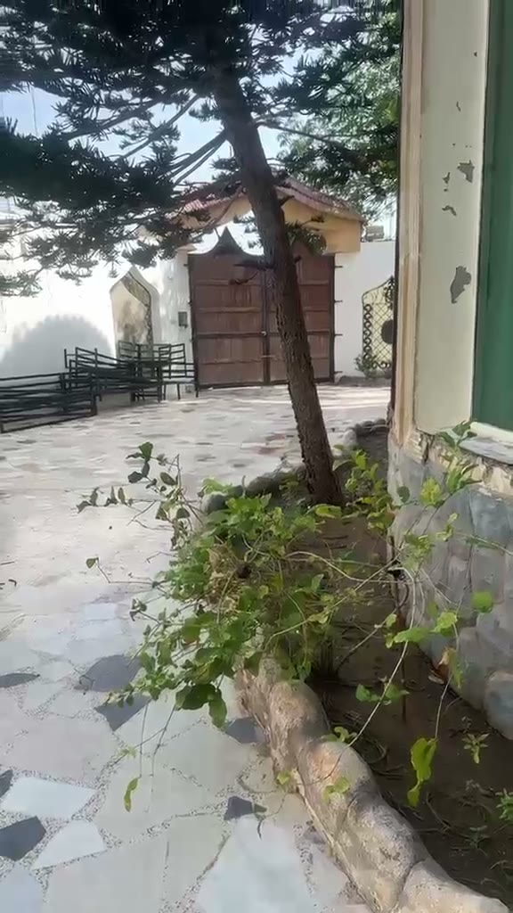 Videos