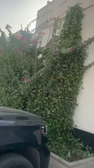 Videos