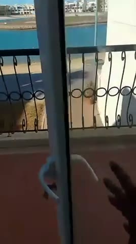  الفيديوهات