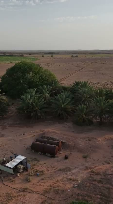  الفيديوهات