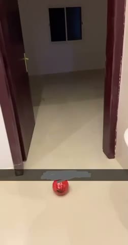 Videos