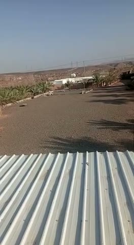 Videos