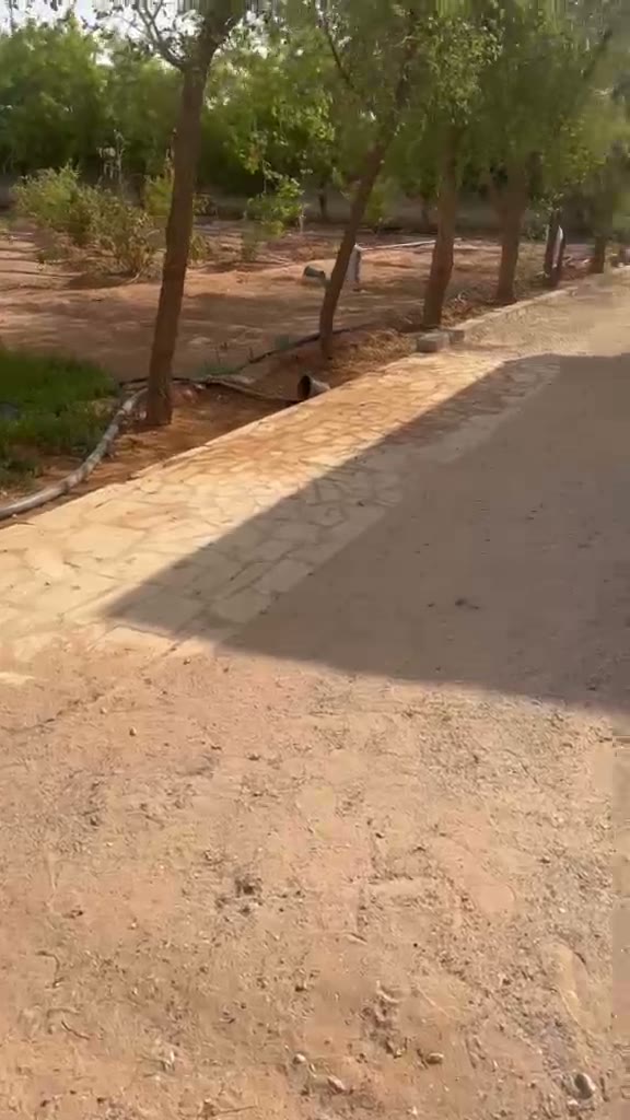 Videos