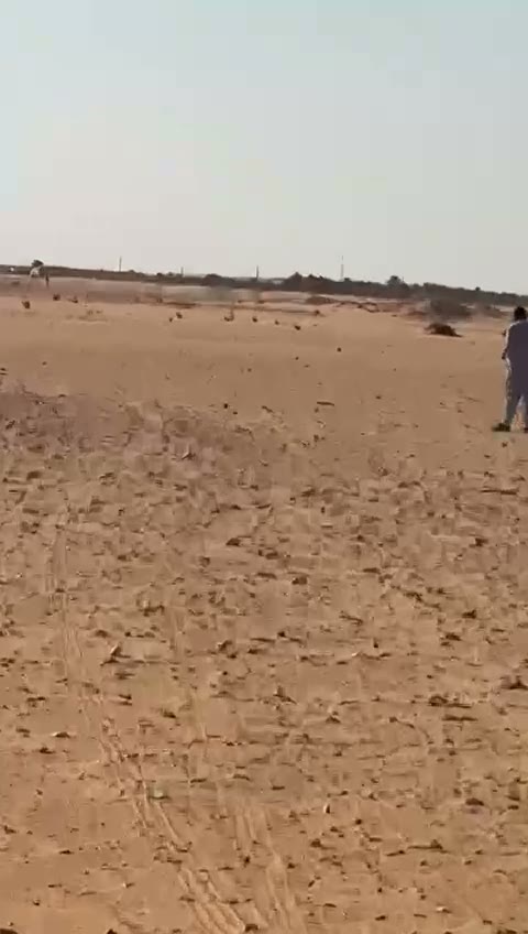  الفيديوهات