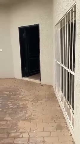 Videos