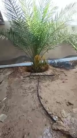  الفيديوهات