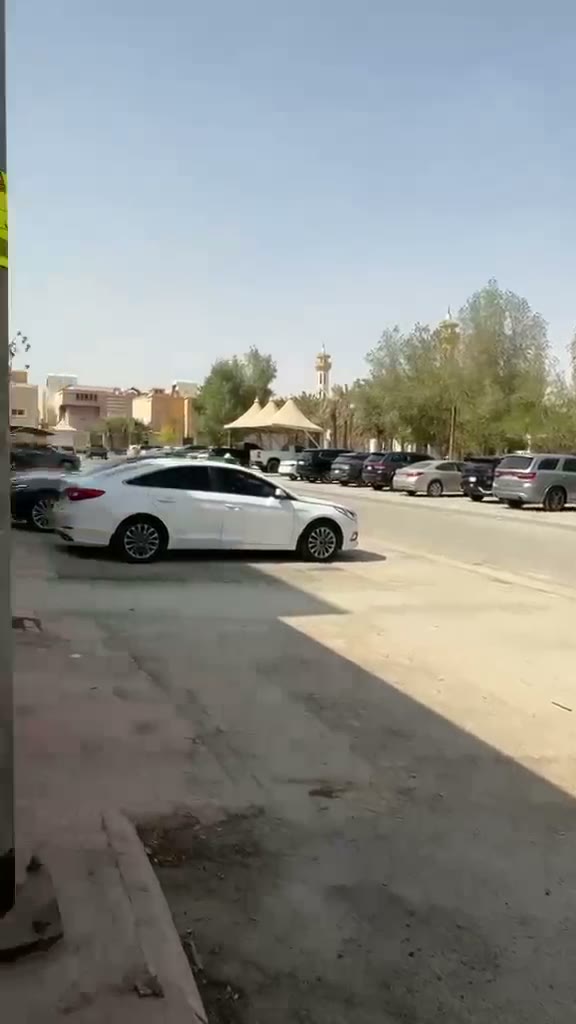  الفيديوهات