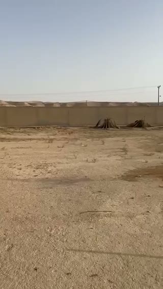 Videos
