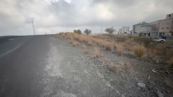Videos