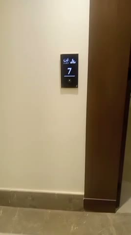 Videos