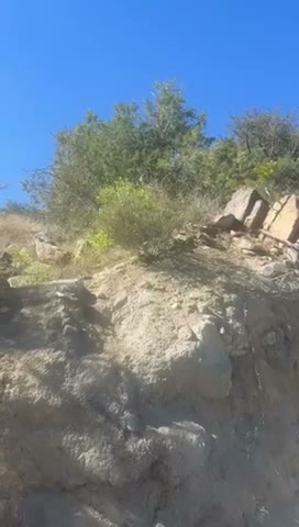 Videos