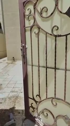Videos