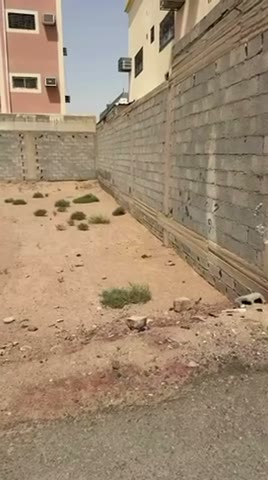  الفيديوهات