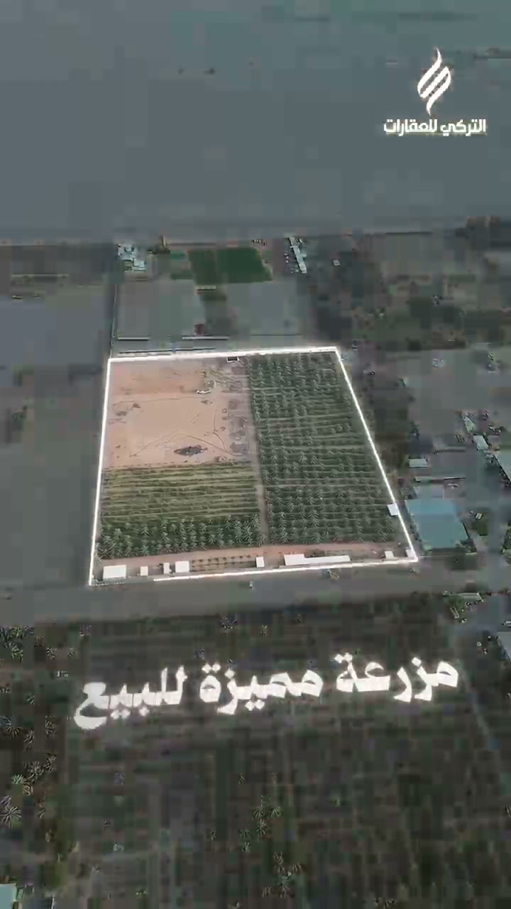  الفيديوهات