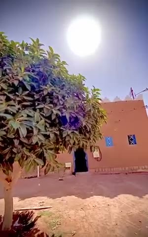  الفيديوهات