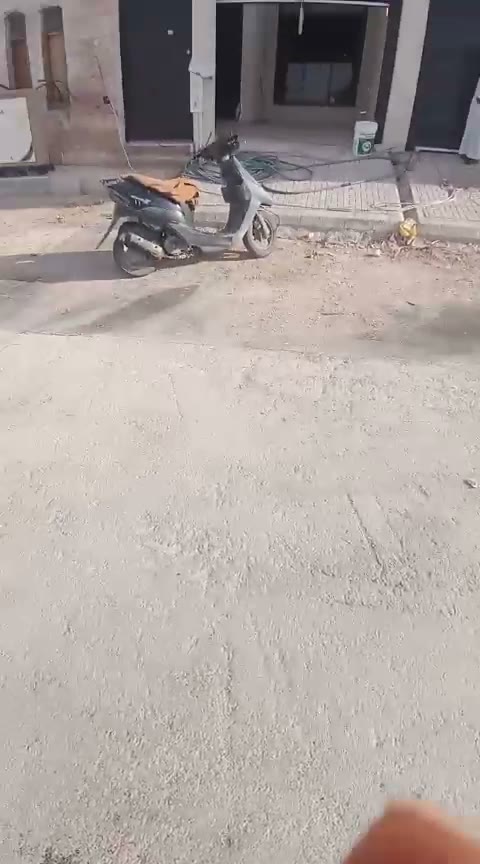 Videos