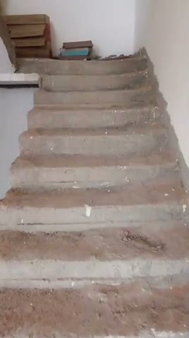 Videos