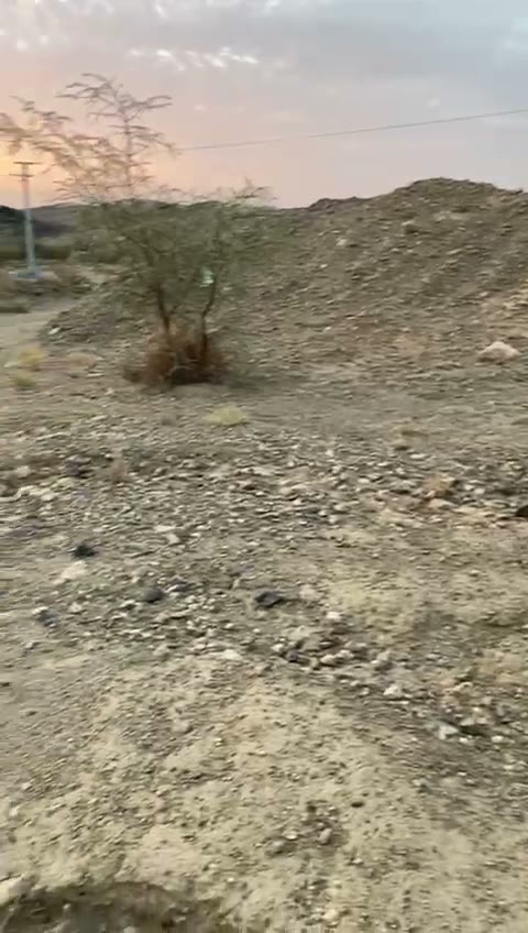 Videos