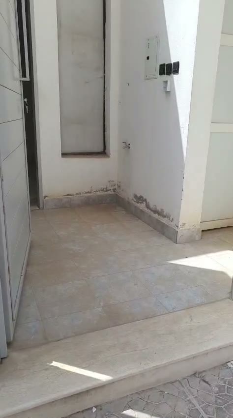 Videos