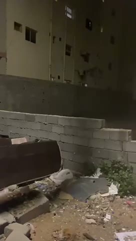 Videos