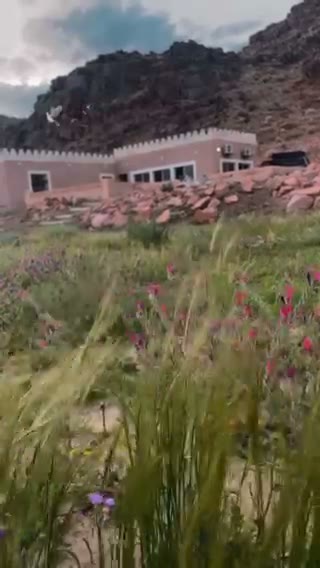 Videos