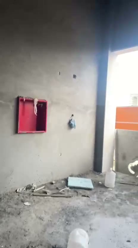 Videos