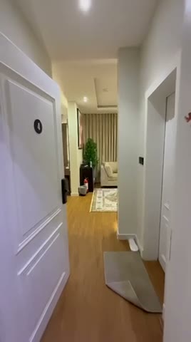 Videos