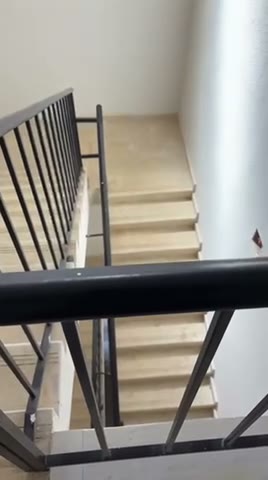 Videos
