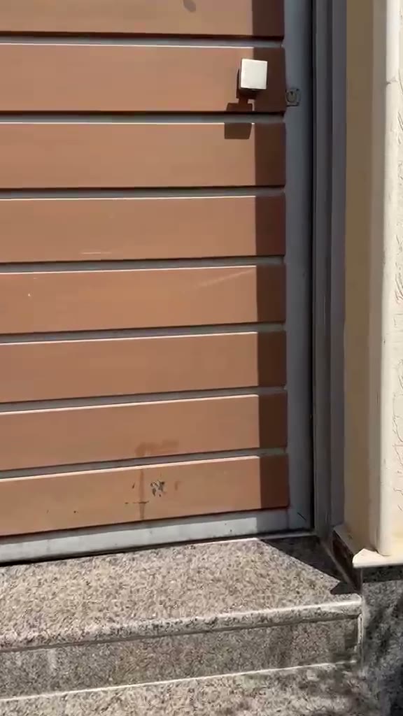 Videos