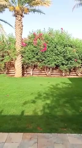 Videos