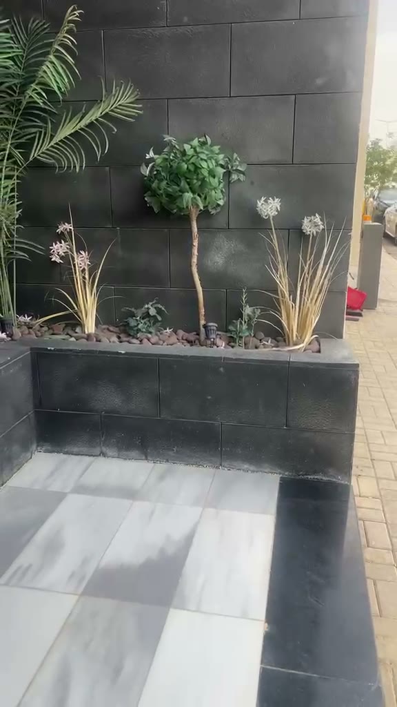  الفيديوهات