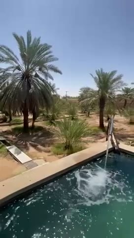  الفيديوهات